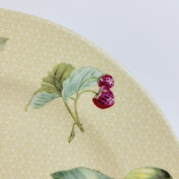 Spode Fruit Haven Salad Plate Butterfly Bee Fruit & Leaves, Fall Autumn Dishes - Picture 4 of 12